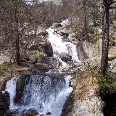 Torrente alpino
