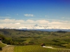 Fotografia delle Langhe