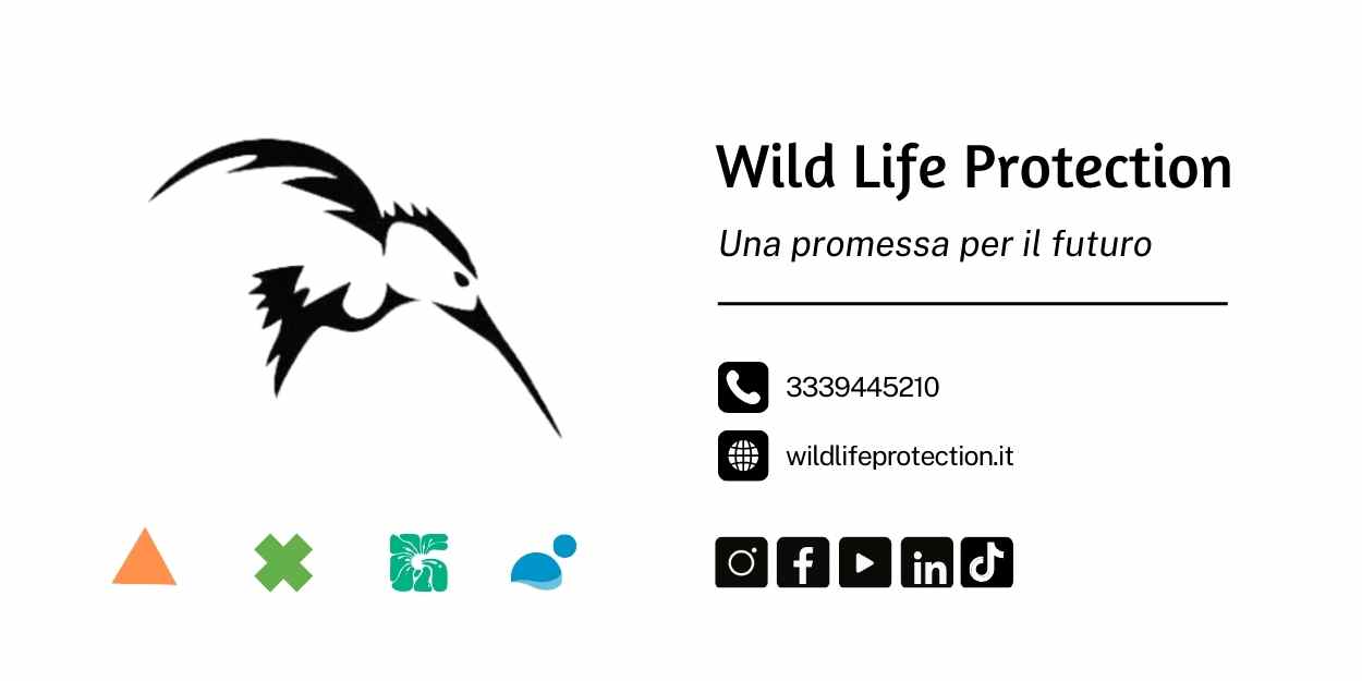 Bando "Comuni Sostenibili" dell'EXPO della Sostenibilità 2025