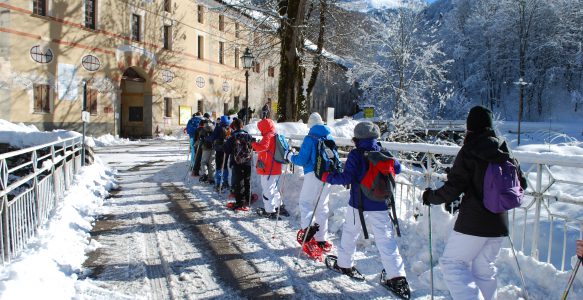 Escursioni & Visite guidate